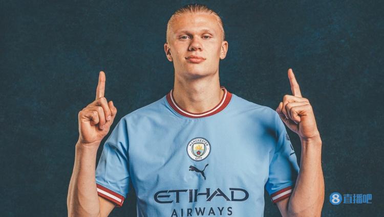 引发众怒，电讯报：摩洛哥为承办国际赛事大规模捕杀流浪狗